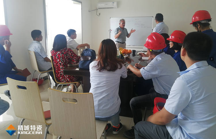 湖南PA视讯特邀意大利专家举行质量治理培训