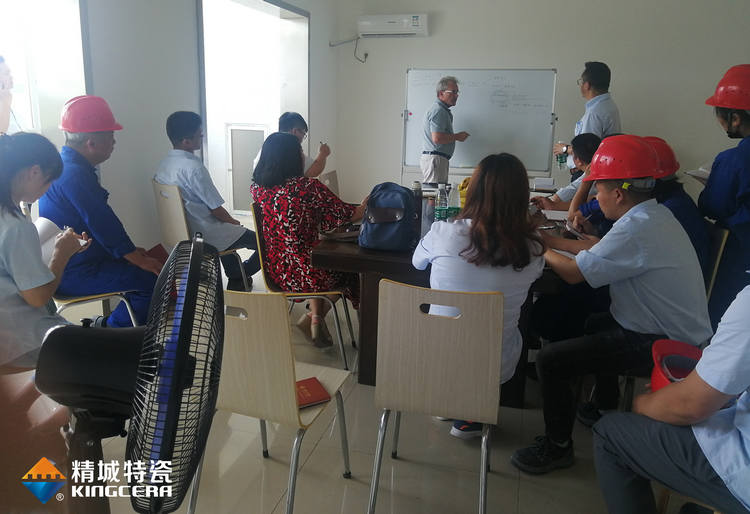 湖南PA视讯特邀意大利专家举行质量治理培训