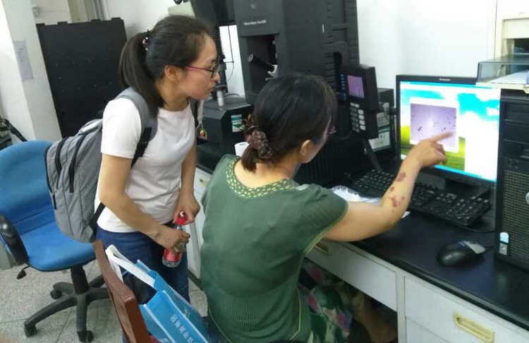 PA视讯(亚洲区)官网 - PlayAce